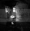 heilanstalt milbitz_107